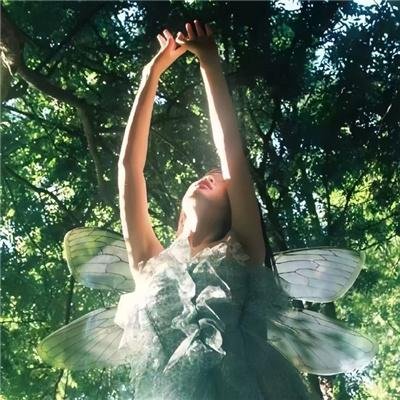 极限挑战之皇家宝藏